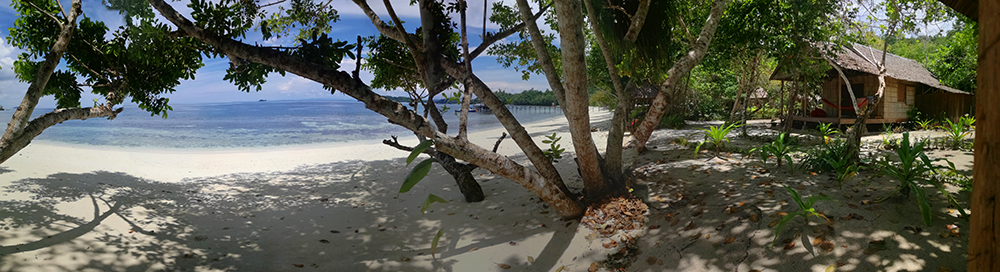 Playa paradisiaca en raja Ampat 
unos árboles en primer término dan sombra bajo la arena de la playa Organizar un viaje.