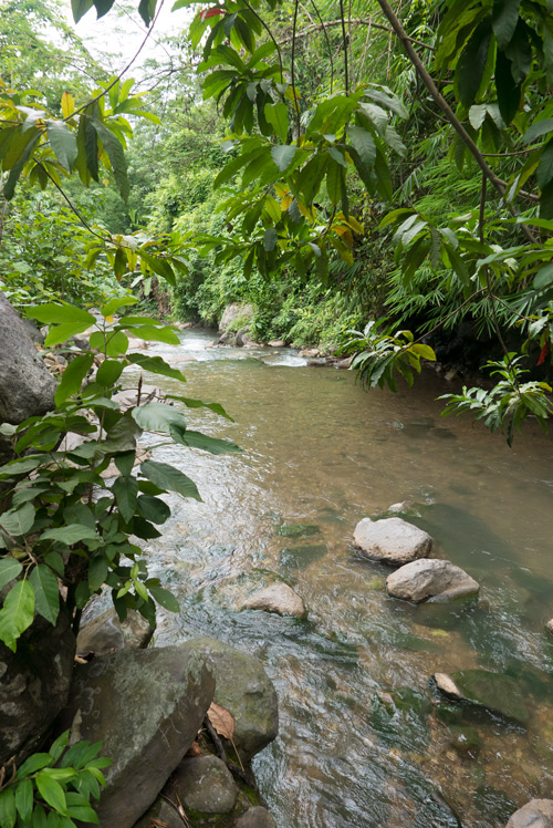 Un río de aguas calientes se mezcla con un arroyo de agua fría. RUTA ISLA DE FLORES. INDONESIA. VIAJE EN MOTO 5 ETAPAS