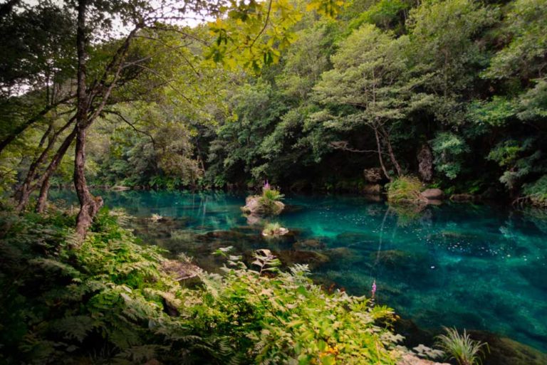 Aguas cristalinas del río Eume con densa vegetación. 10 rutas en Galicia imprescindibles