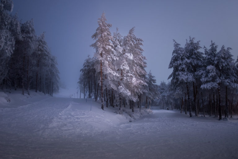 Paisaje nocturno de árboles nevados. Solo uno destaca por la luz de una farola.