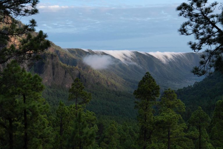 Bancos de niebla bajando por la ladera desde la cumbrecita uno de los lugares que ver en la palma.