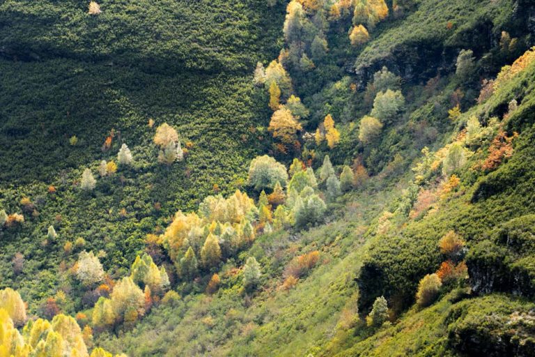 Valle entre montañas de árboles de colores. 9 ideas para disfrutar del Otoño en Galicia