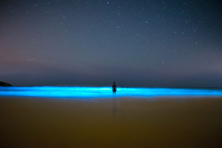 Silueta de una persona en el Mar de ardora que ilumina el mar en una playa. Fotografía nocturna. Mar de Ardora. Magia en las playas de Galicia. Perder el Rumbo