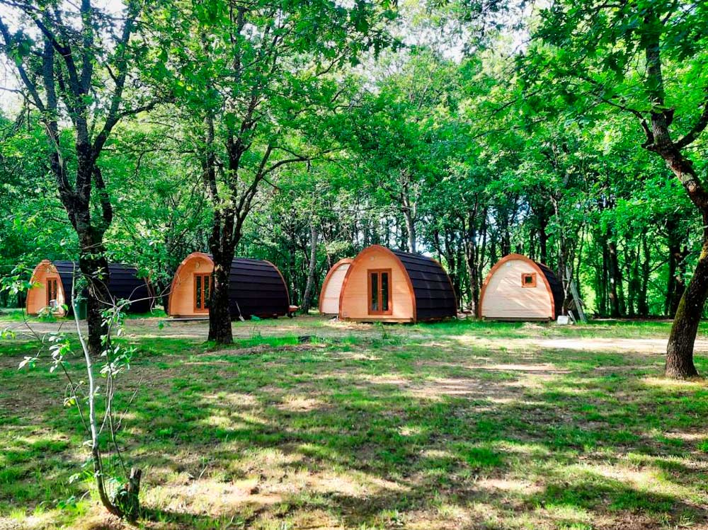 camping en un bosque de verdes árboles. Camping en Galicia y otras alternativas para dormir al aire libre