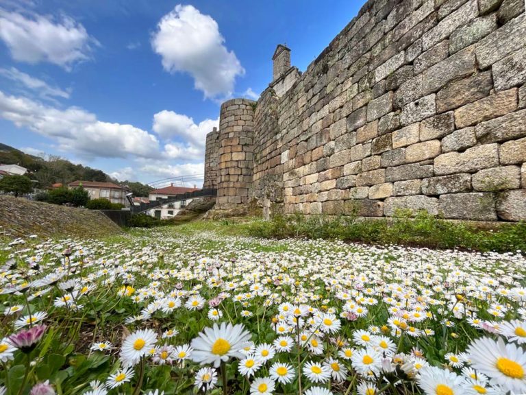 Castillo de Ribadavia rodeado de flores. 15 lugares qué ver en Ribadavia y alrededores imprescindibles