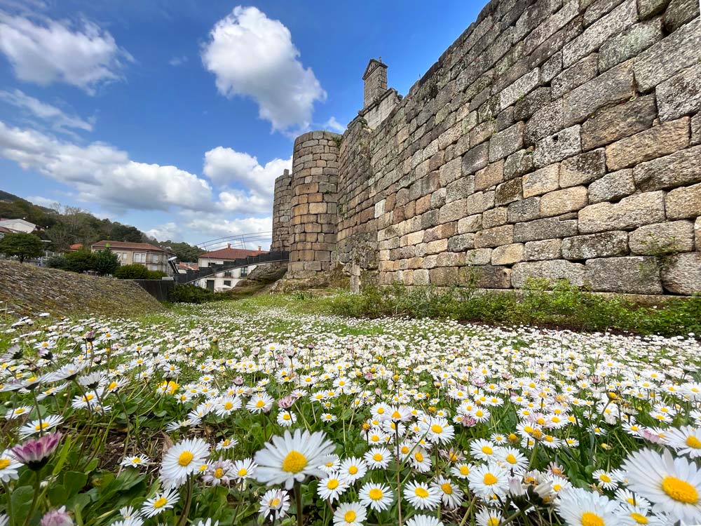 Castillo de Ribadavia rodeado de flores. 15 lugares qué ver en Ribadavia y alrededores imprescindibles