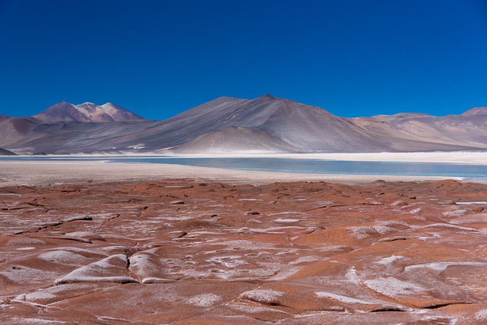 Laguna altiplánica con unas montañas al fondo de color grisáceo. Uno de los lugares que ver en Chile.