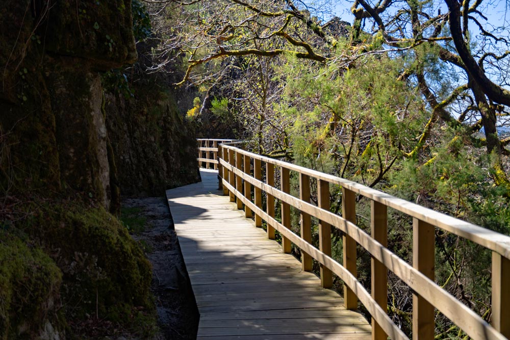 Una pasarela de madera bordeando un barranco en su parte derecha vemos árboles.