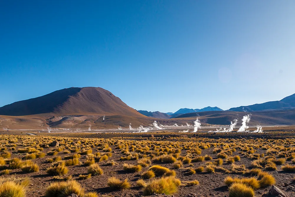Un campo geotermal al fondo. En primer término mechones de paja brava de color dorado.