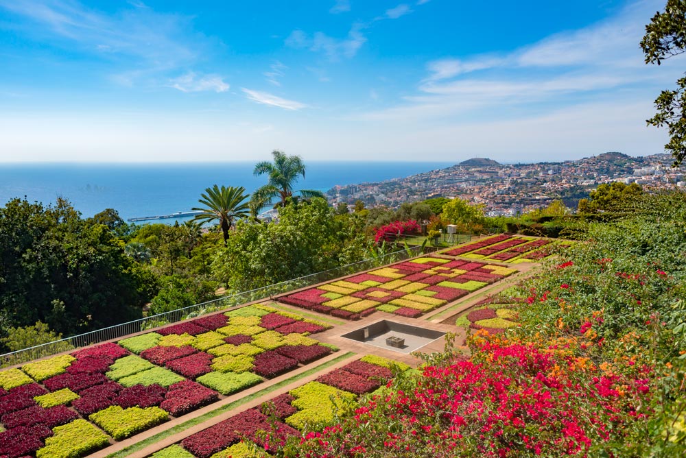 Vista del jardín botánico donde vemos unos setos recortados en formas geométricas.Funchal. La fascinante capital de Madeira.