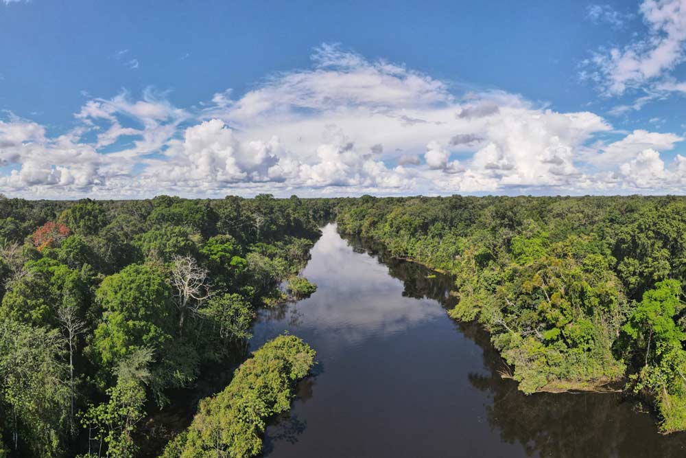Vista aérea de la reserva nacional de Pacaya Samiria. Observamos el río Yanayacu.