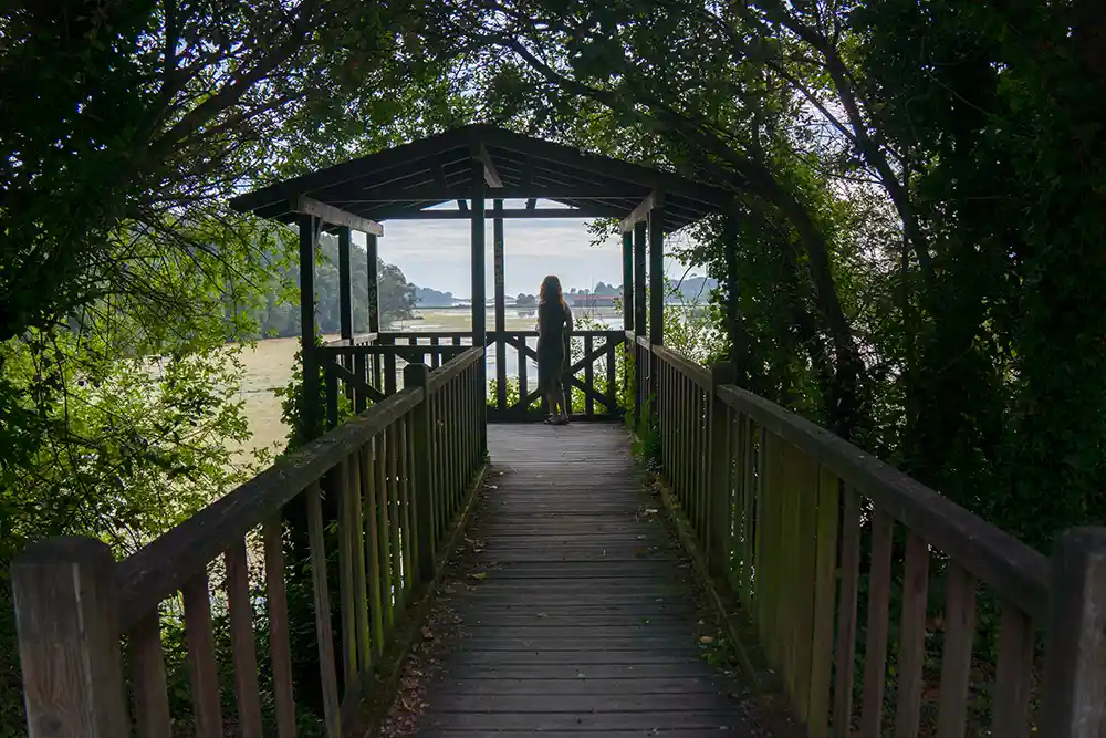 Una chica se encuentra en una porche de madera destinado para observar aves. Al fondo un lago lleno de aves.