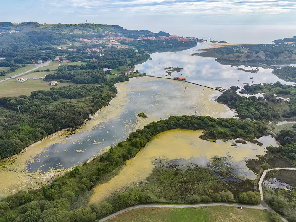 Vista aérea del lago llenos de unas plantas acuáticas de color amarillo. vemos una separación con piedras y un molino de agua en el medio.