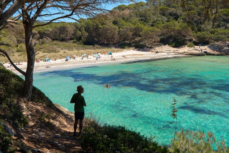 Cala rodeada de pinos y aguas turquesas tras recorrer una de las Rutas de senderismo en Menorca. Pixi contemplando el mar cristalino desde un mirador natural.