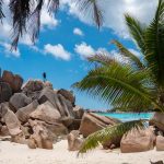 Pixi subido en unas rocas en la playa de anse cocos, una de las mejores playas de La Digue en las Seychelles.