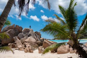 Pixi subido en unas rocas en la playa de anse cocos, una de las mejores playas de La Digue en las Seychelles.