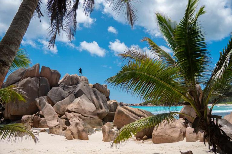 Pixi subido en unas rocas en la playa de anse cocos, una de las mejores playas de La Digue en las Seychelles.