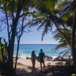 Se ve a una pareja de la mano entre unas palmeras y mirando al mar. Bien podrían estar disfrutando de su luna de miel en Seychelles.