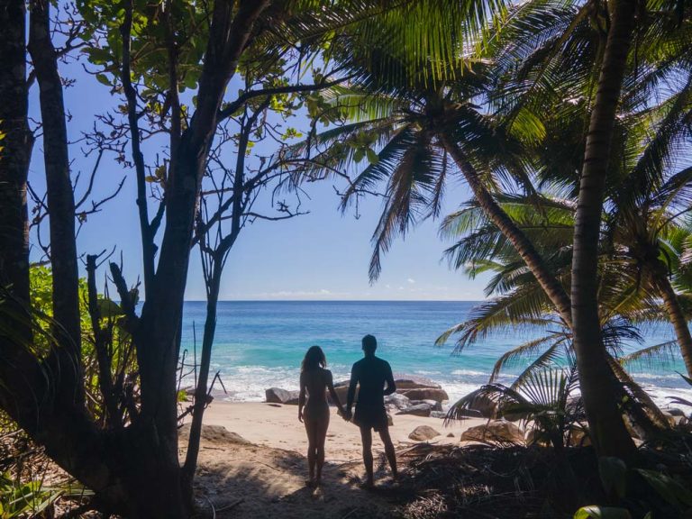 Se ve a una pareja de la mano entre unas palmeras y mirando al mar. Bien podrían estar disfrutando de su luna de miel en Seychelles.